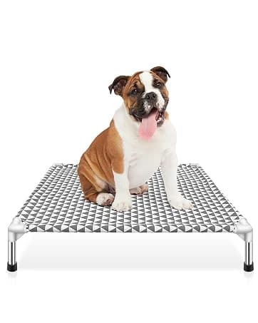 Elevated Outdoor Dog Bed — Medium Size — collection imagery