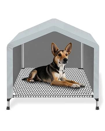 Elevated Outdoor Dog Bed — Medium Size — collection imagery