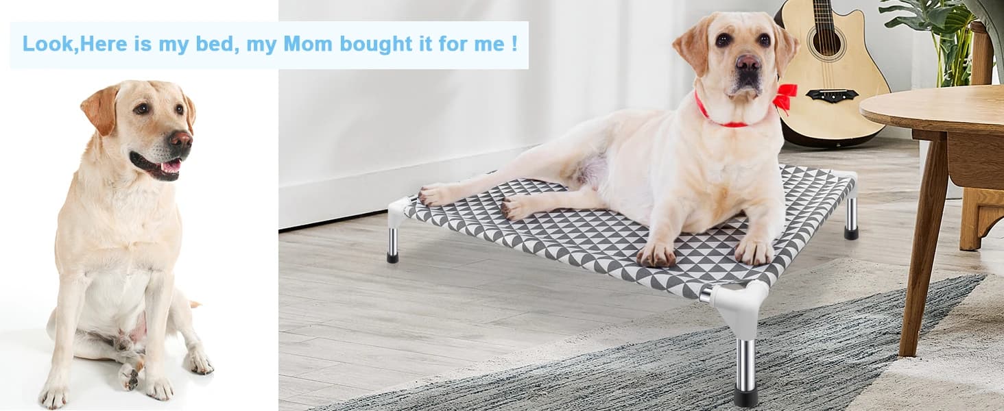 Elevated Outdoor Dog Bed — Medium Size — product details