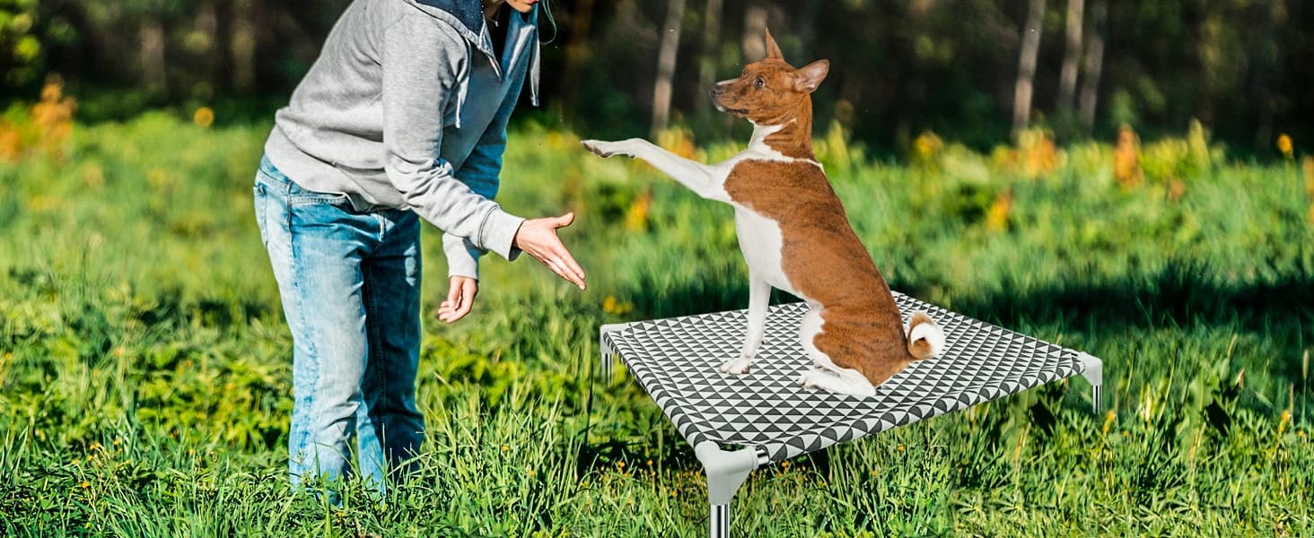 Elevated Outdoor Dog Bed — Medium Size — Why choose our elevated dog bed?