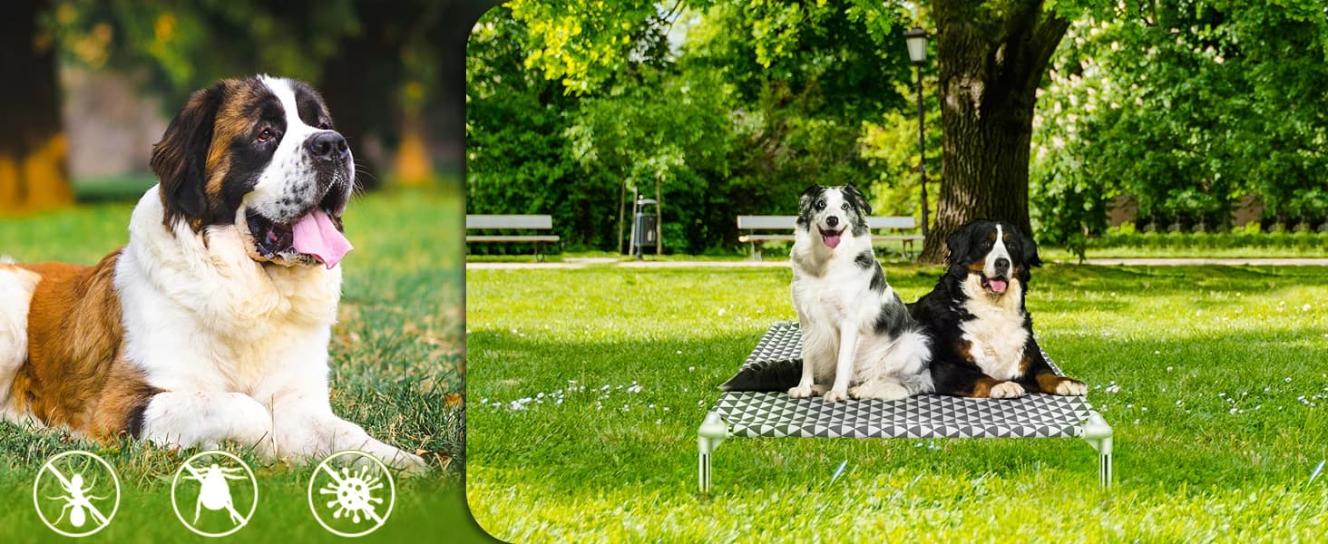 Elevated Outdoor Dog Bed — Medium Size — Why choose our elevated dog bed?