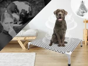 Elevated Outdoor Dog Bed — Medium Size — Provide a healthy and beautiful living environment for your dog