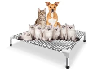 Elevated Outdoor Dog Bed — Medium Size — Provide a healthy and beautiful living environment for your dog