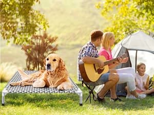 Elevated Outdoor Dog Bed — Medium Size — Provide a healthy and beautiful living environment for your dog