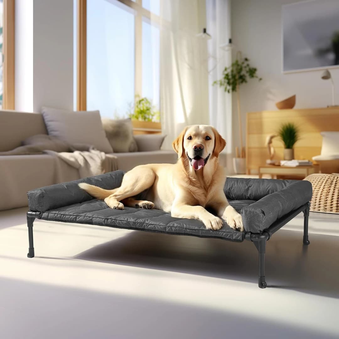 Outdoor Elevated Dog Bed with Waterproof Bolster Cushion