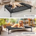 Outdoor Elevated Dog Bed with Waterproof Bolster Cushion