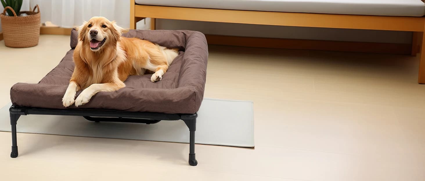 Outdoor Elevated Dog Bed with Waterproof Bolster Cushion — collection imagery