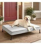 Outdoor Elevated Dog Bed with Waterproof Bolster Cushion — collection imagery