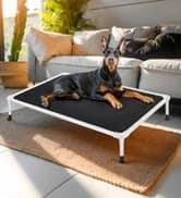 Outdoor Elevated Dog Bed with Waterproof Bolster Cushion — collection imagery