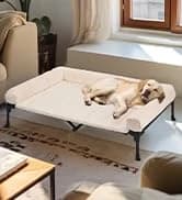Outdoor Elevated Dog Bed with Waterproof Bolster Cushion — collection imagery