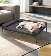 Outdoor Elevated Dog Bed with Waterproof Bolster Cushion — collection imagery