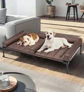 Outdoor Elevated Dog Bed with Waterproof Bolster Cushion — collection imagery