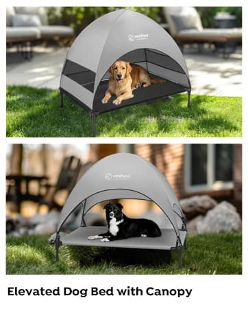Outdoor Elevated Dog Bed with Waterproof Bolster Cushion — collection imagery