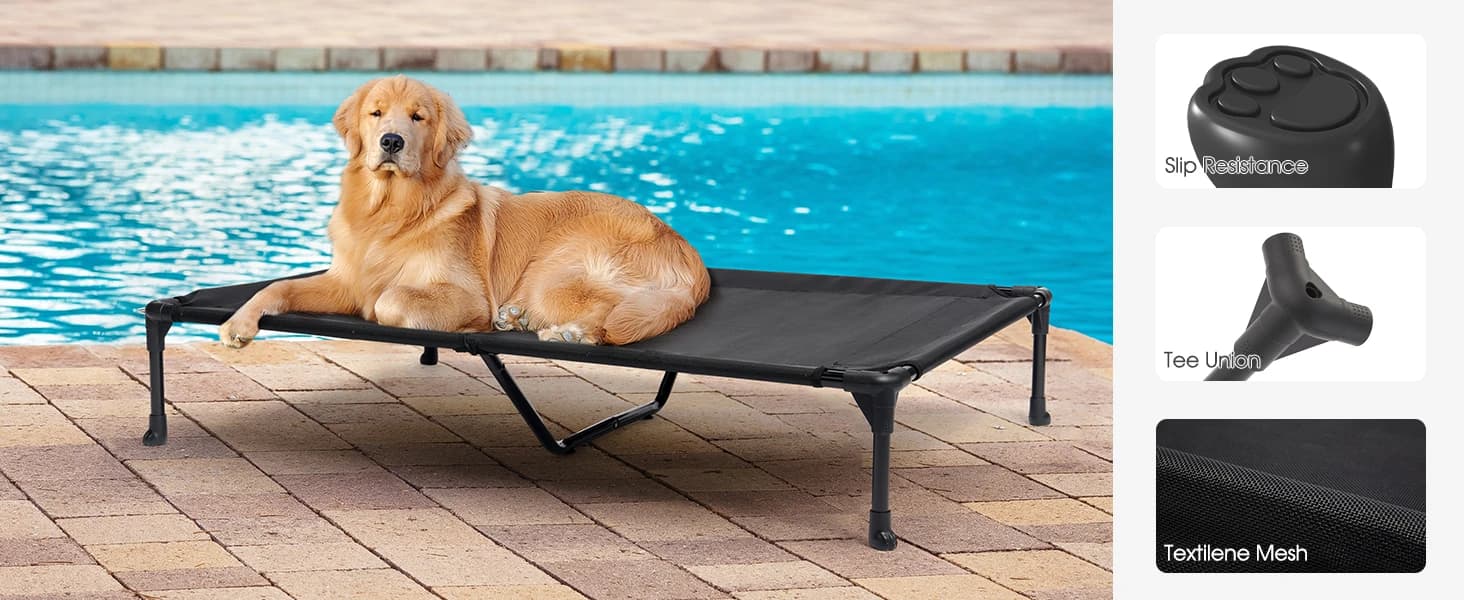 Outdoor Elevated Dog Bed with Waterproof Bolster Cushion — Remove the Pillow Topper for a Cooling Dog Bed