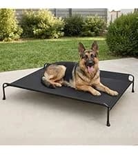 Outdoor Elevated Dog Bed with Waterproof Bolster Cushion — collection imagery