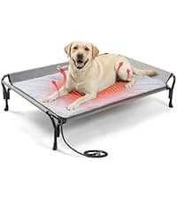 Outdoor Elevated Dog Bed with Waterproof Bolster Cushion — collection imagery