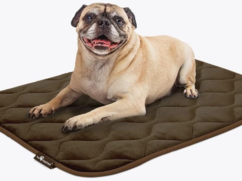 Washable Padded Crate Mats for Dogs — Gray — A Comfy Space to Rest