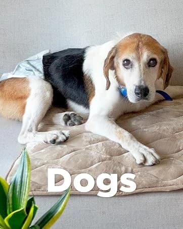 Washable Padded Crate Mats for Dogs — Gray — collection imagery