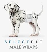 Washable Padded Crate Mats for Dogs — Gray — collection imagery
