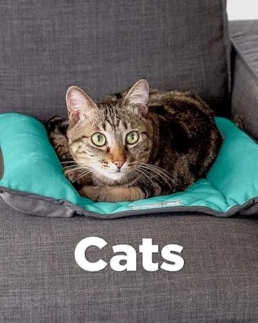 Washable Padded Crate Mats for Dogs — Gray — collection imagery