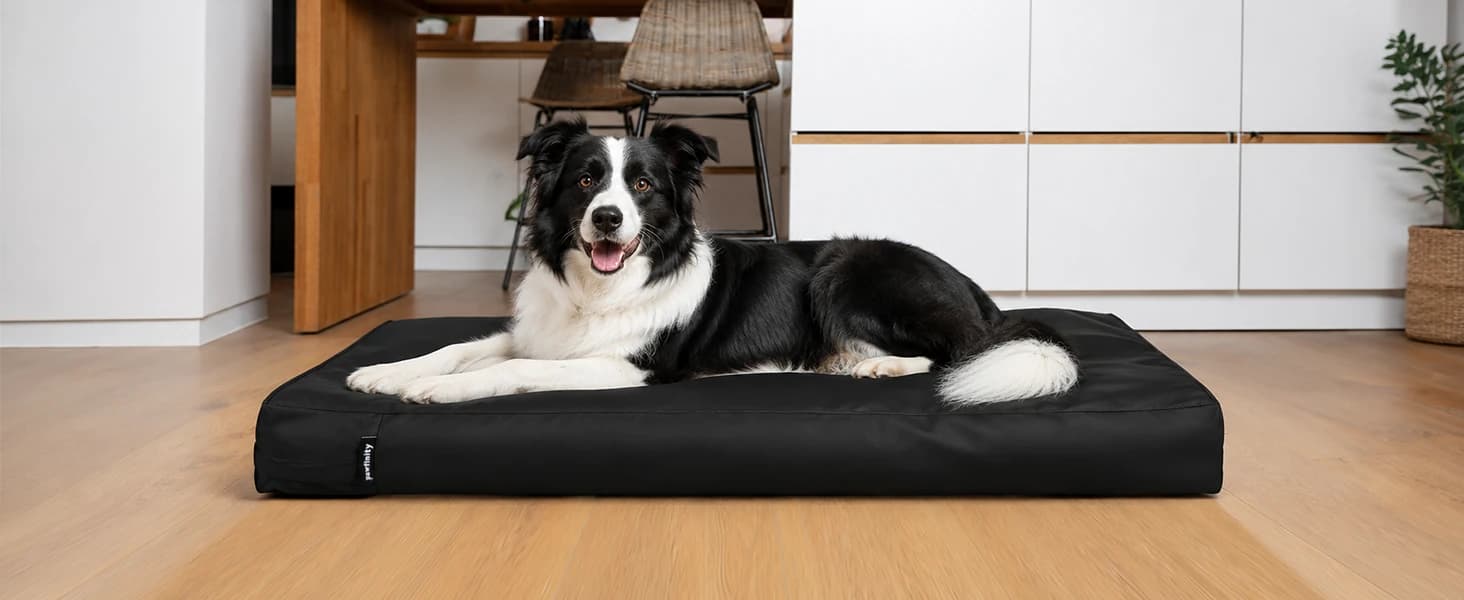 Waterproof Dog Bed Cover Replacement Washable — Zipper Closure — collection imagery