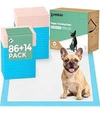 Collapsible Dog Crate for Medium Dogs - 36 inch Escape Proof Metal Dog Kennel with Double Door — collection imagery