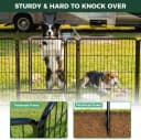 Rollick Dog Playpen — Indoor