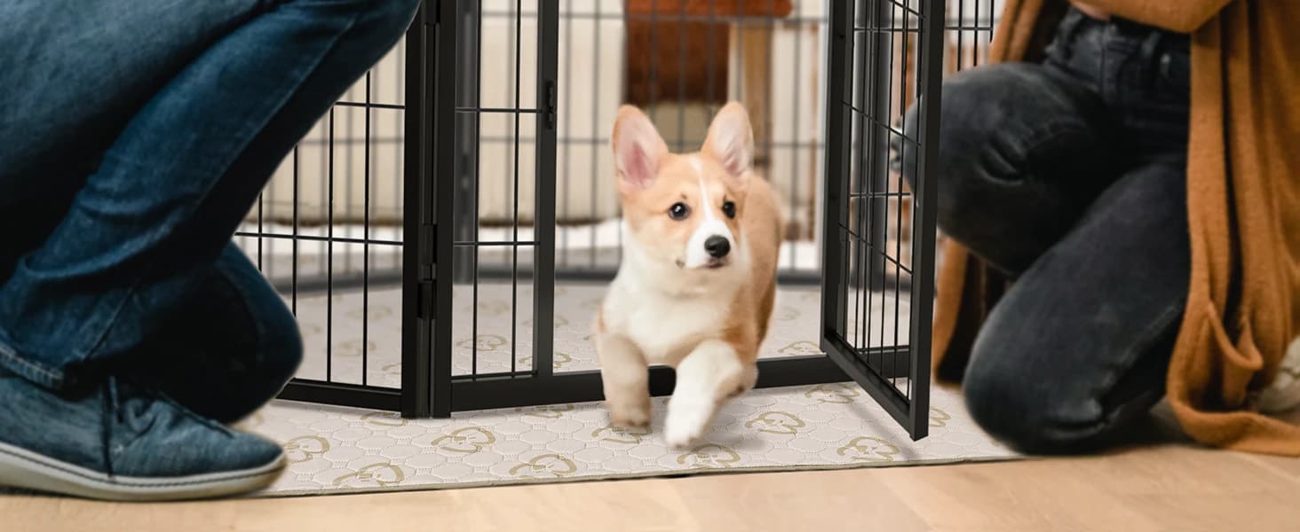 Homeplus Indoor Dog Playpen — 24" H — Together, We Unleash Fun.