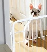 Homeplus Indoor Dog Playpen — 24" H — collection imagery