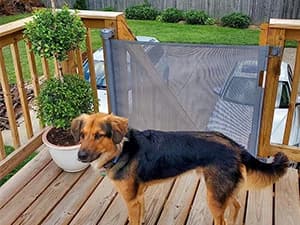 Retractable Baby Gates for Stairs and Doorways — Image From Customers