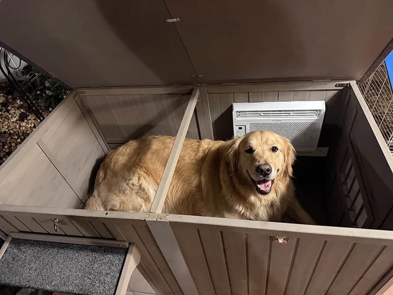 55" Extra XL Wooden Outdoor Dog House with Iron Frame for Large Dogs — Voice of the Customer