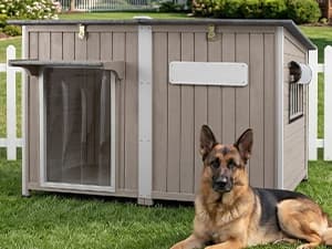 55" Extra XL Wooden Outdoor Dog House with Iron Frame for Large Dogs — collection imagery