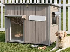 55" Extra XL Wooden Outdoor Dog House with Iron Frame for Large Dogs — collection imagery