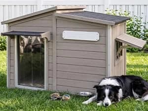 55" Extra XL Wooden Outdoor Dog House with Iron Frame for Large Dogs — collection imagery
