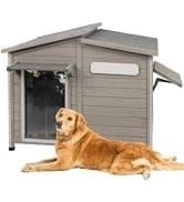 55" Extra XL Wooden Outdoor Dog House with Iron Frame for Large Dogs — collection imagery