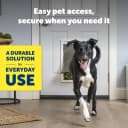 Plastic Dog and Cat Door — Pets Up to 220 lb