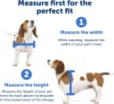 Plastic Dog and Cat Door — Pets Up to 220 lb