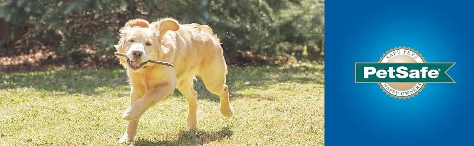 Plastic Dog and Cat Door — Pets Up to 220 lb — collection imagery