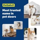 Plastic Dog and Cat Door — Pets Up to 220 lb