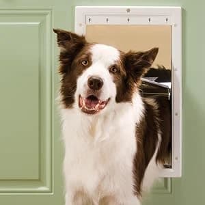 Plastic Dog and Cat Door — Pets Up to 220 lb — Give your Pet the Freedom to Come and Go