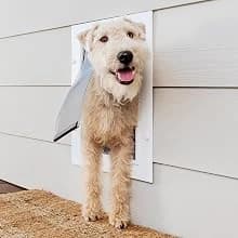 Plastic Dog and Cat Door — Pets Up to 220 lb — Which pet door is right for you?