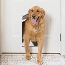 Plastic Dog and Cat Door — Pets Up to 220 lb — Which pet door is right for you?