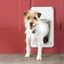 Plastic Dog and Cat Door — Pets Up to 220 lb — Which pet door is right for you?