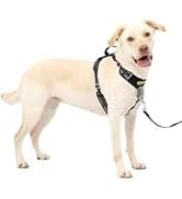 Extreme Weather Aluminum Dog Door — 3-Flap Insulated — collection imagery