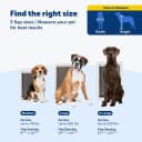 Extreme Weather Aluminum Dog Door — 3-Flap Insulated