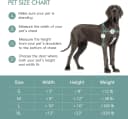 Pet Door for Wall,3-Flap — Steel Frame and Telescoping Tunnel