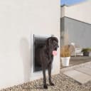Pet Door for Wall,3-Flap — Steel Frame and Telescoping Tunnel