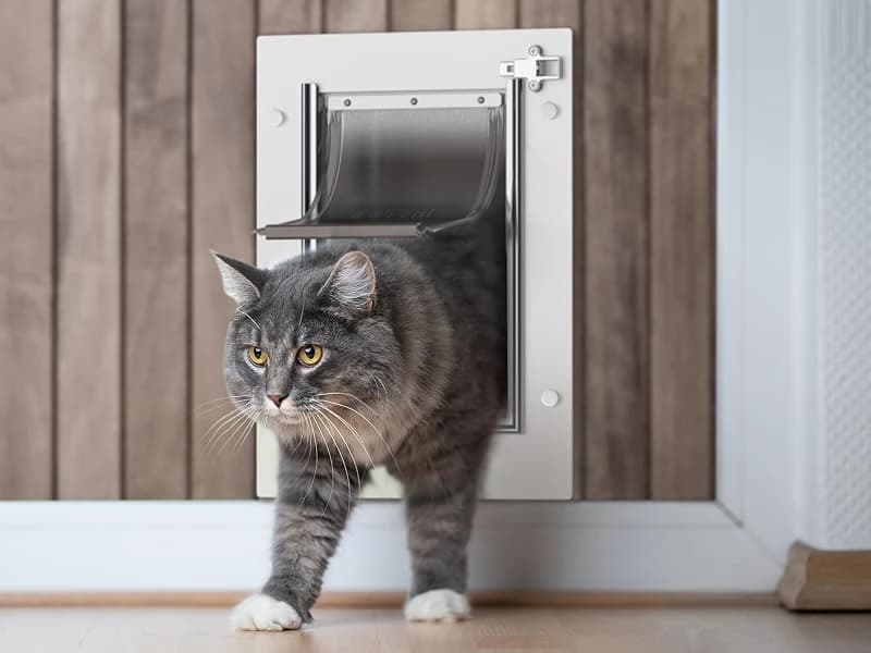Pet Door for Wall,3-Flap — Steel Frame and Telescoping Tunnel — Product Introduction