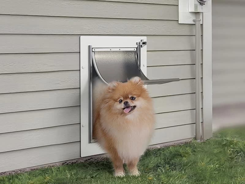 Pet Door for Wall,3-Flap — Steel Frame and Telescoping Tunnel — Product Introduction