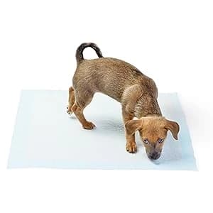 Leak-Proof Dog and Puppy Potty Training Pee Pads with Quick-Dry 5-Layer Super Absorbent Design — Tips for Training